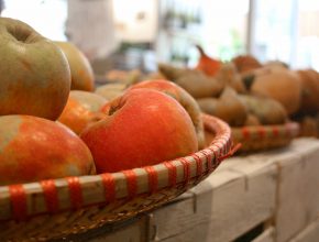 BAsket of apples