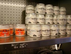 Yogurt bio