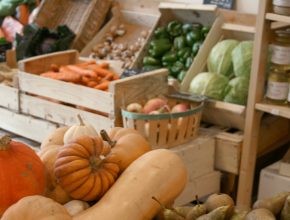 Vegetables bio